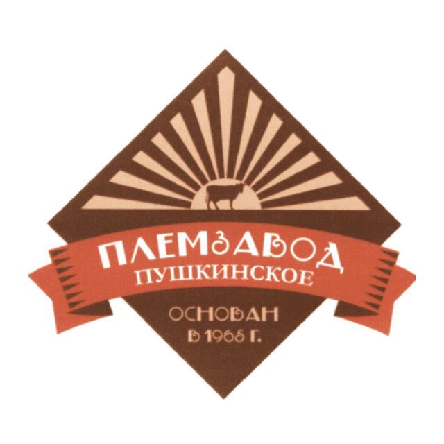 ПушкПЗ1Р02